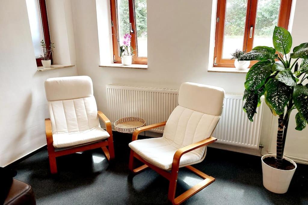Zentrale Ferienwohnung - Direkt Am See Und Schloss Schwerin  Esterno foto