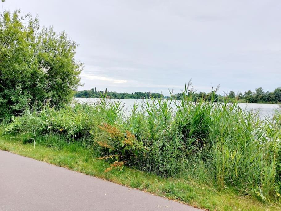 Zentrale Ferienwohnung - Direkt Am See Und Schloss Schwerin  Esterno foto
